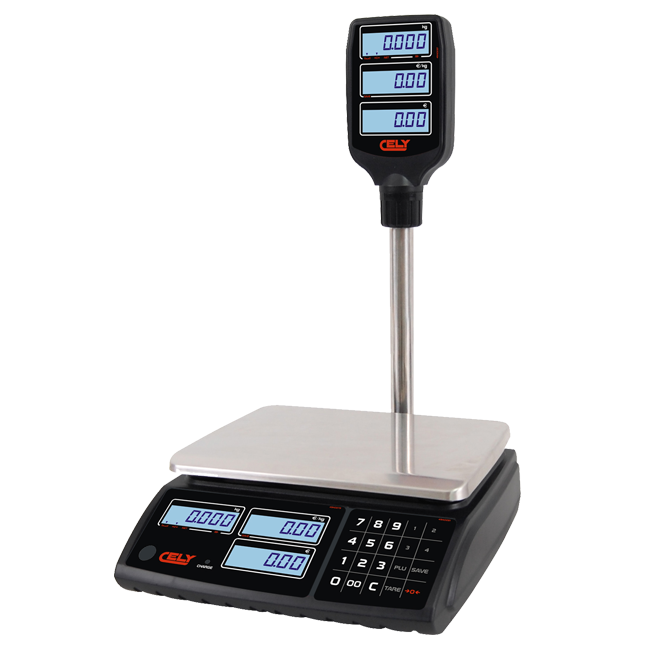 BILANCIA MOD. PI100TORRE6